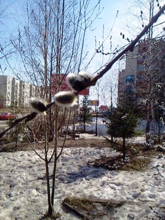 Последнее эхо зимы... - триолет