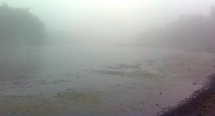 Стремление узнать себя