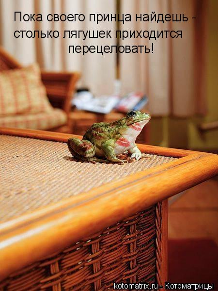 Сказка о царевне-лягушке, как всегда, на свой лад