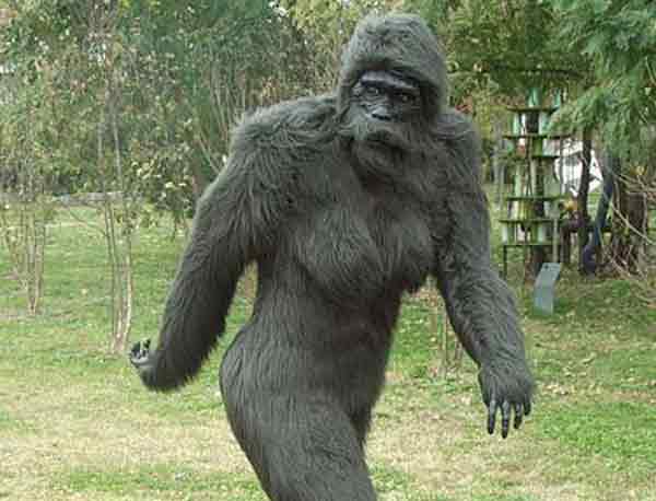 Сн жний чолов к