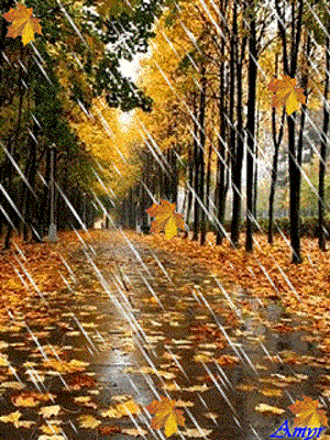 Поцелуй дождя