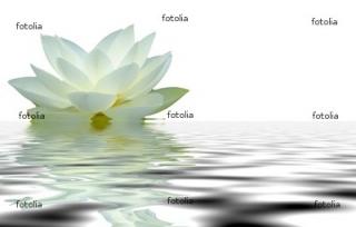 Подарю тебе тебя