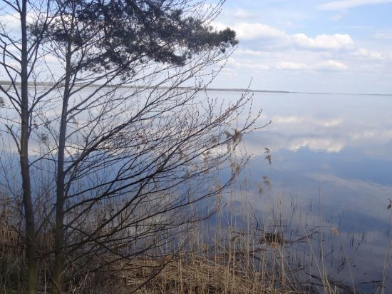 В вечернем небе