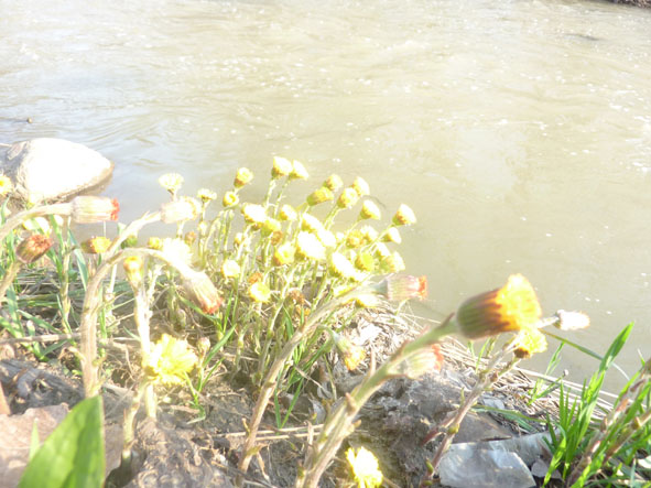 Сборник Дню Юмора-14