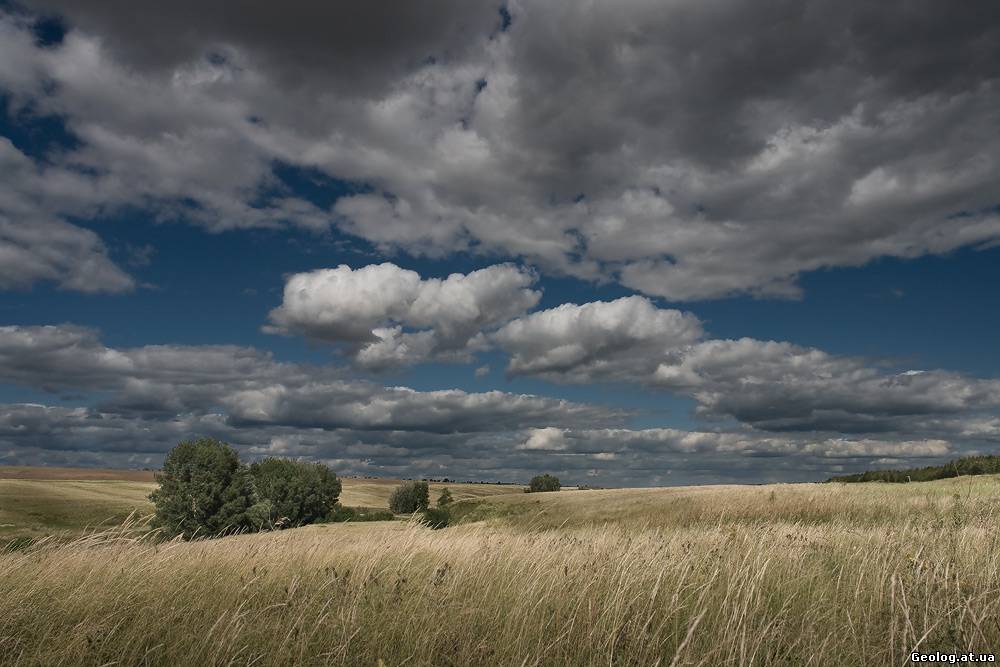 Степь природная зона. Тамбовская степь. Ширь степи. В ширь степей. Ширь степи.