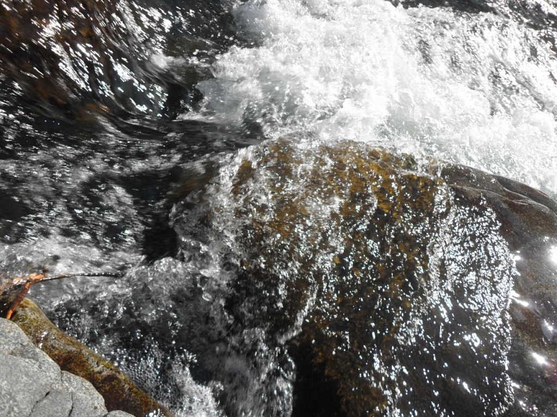 Путешествие к морю