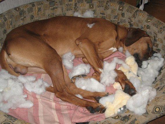 Вулкан страстей