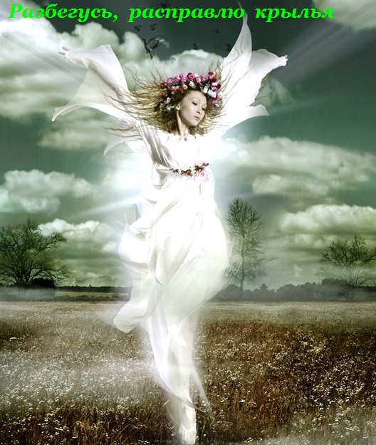 Разбегусь, расправлю крылья
