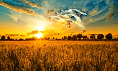 Родина у каждого одна