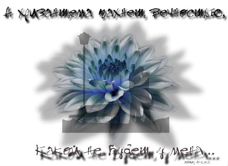 А хризантемы пахнут вечностью..