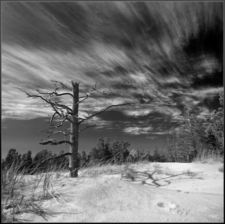 Февраль високосного года