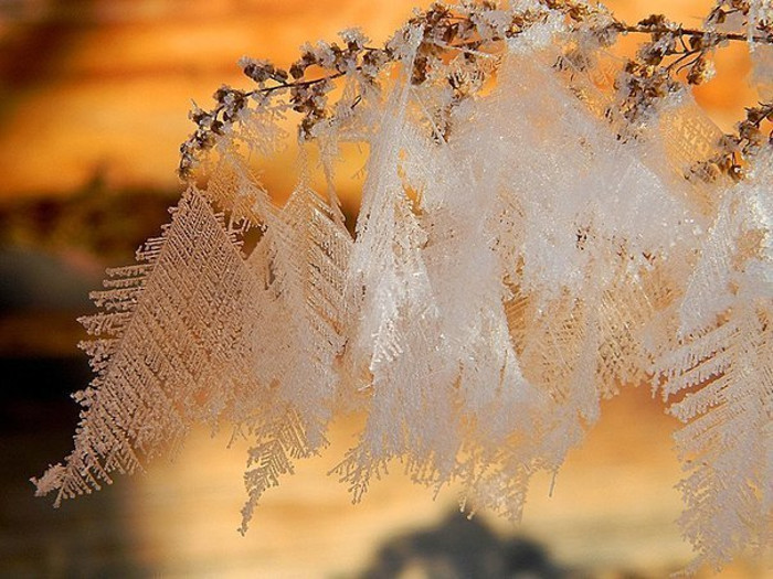 Белоснежная зима...