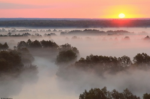 МИР, МАЙ, ТРУД! -14