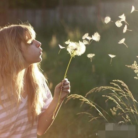 Одуванчиком мечты... Японский триолет