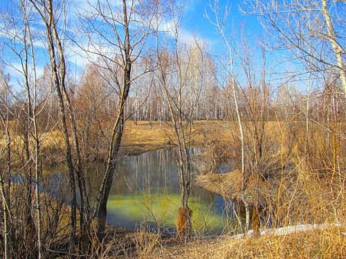 Весенние кружева