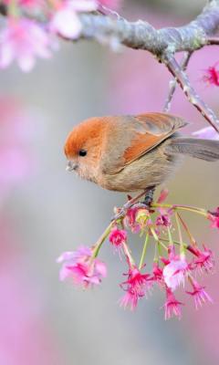 Давай с тобою...