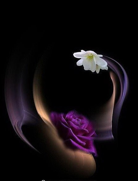 Мысли в ночи