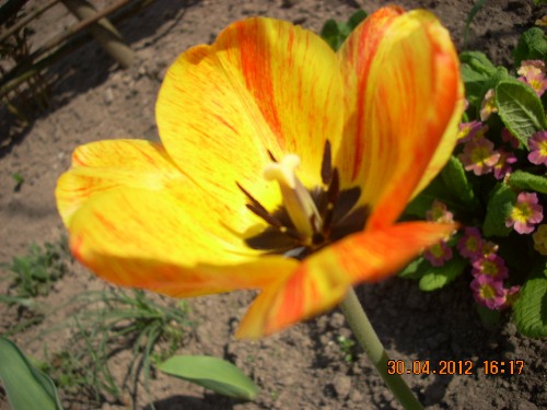 Мы все такие разные...