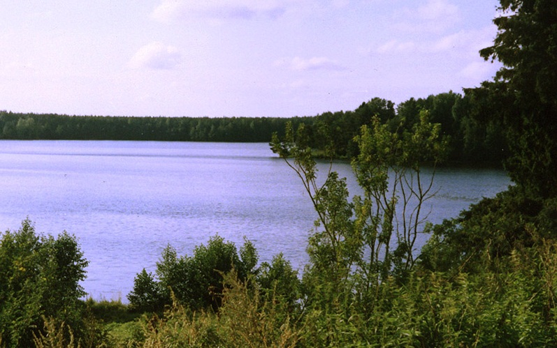 Никто здесь, на земле, не решит за меня