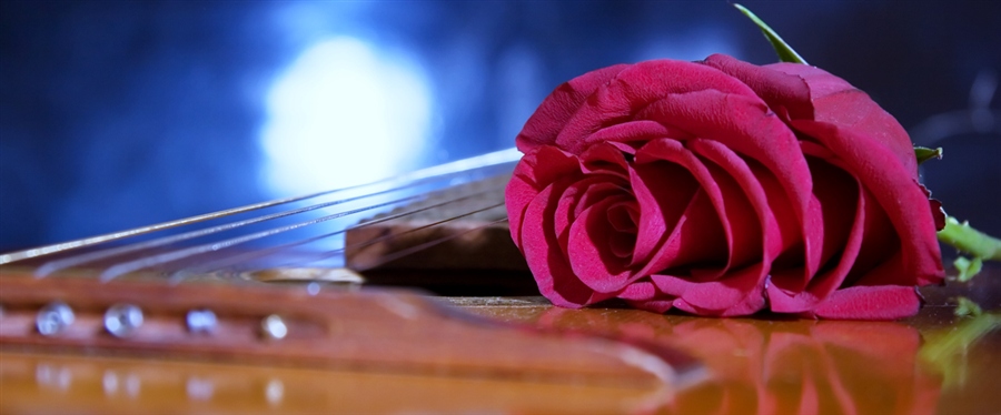 Пусть светят ласково всегда