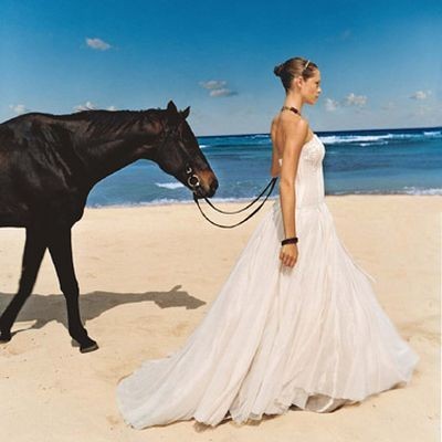 Мой милый друг!