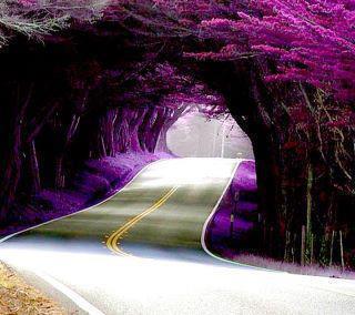 Мир без тебя...