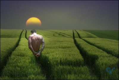 Путь в никуда...