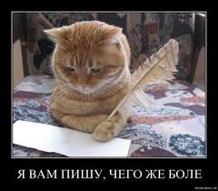 Кот - поэт