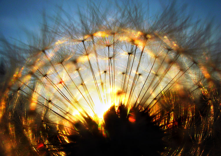 Вздох мечтательный...