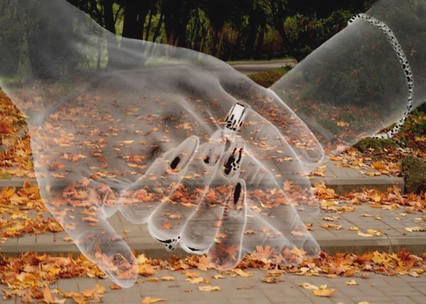 Моя рука в твоей руке...