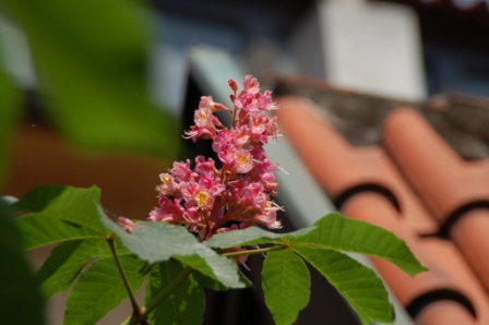 Мир несуществующих страниц