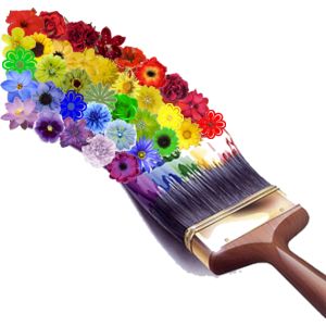 Открылись вежды