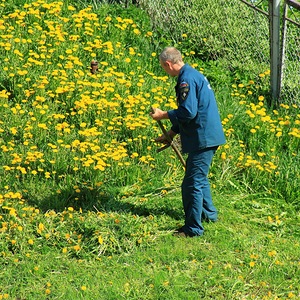 право на траву