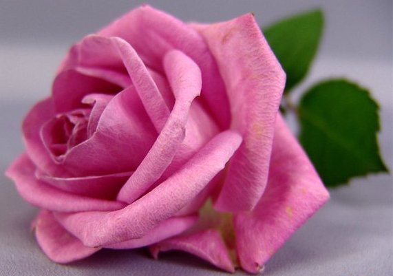 С днём рождения