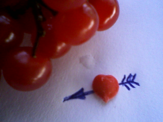 Счастье-ненастье