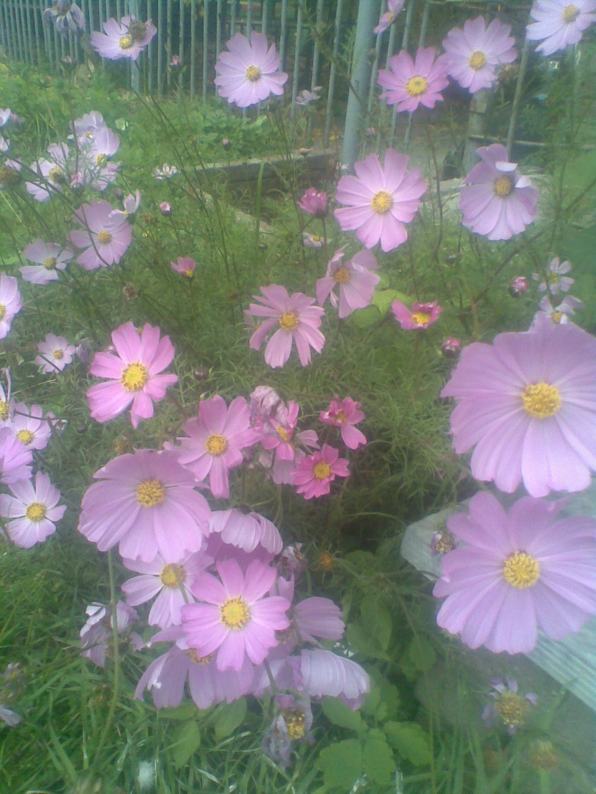 Просто так!