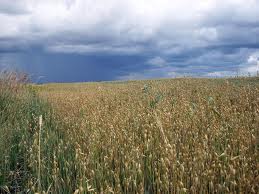 Солнечно и тихо