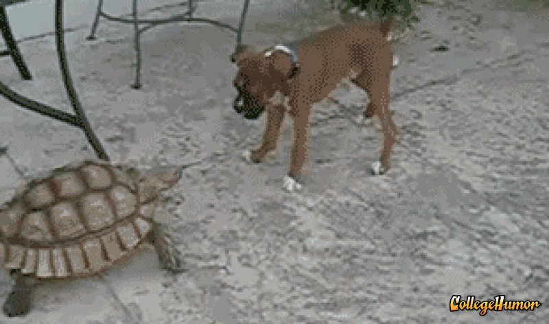 Верный друг