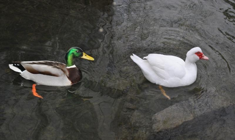 Хорош жених!