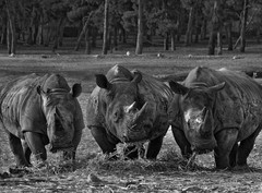 Ъ. Как я дарил тебе себя