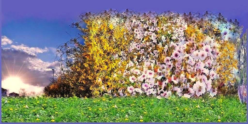 Картина солнцем-В Ладонях