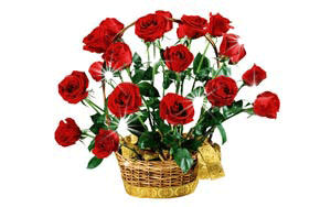 Мы все - у ног твоих...