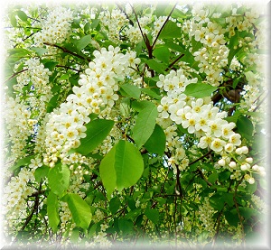 Татьянин день