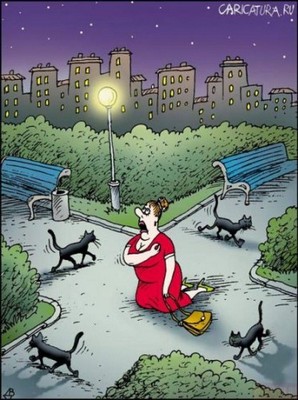 Суеверная, или месть чёрных котов