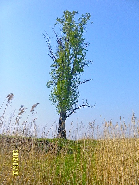 Вслед любви