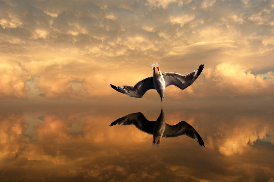 Сказ. Полёт, в Единстве, среди звёзд