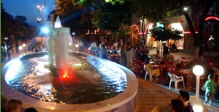 Счастливый, южный - дурдом