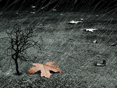 Заплетаются чёрные косы... Ольга Макаркина