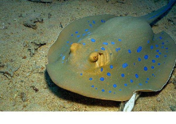 Сатирические о работе электрики Саша и Серёжа