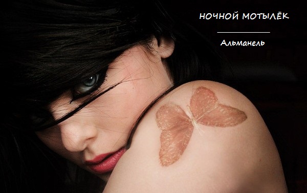 Ночной мотылек